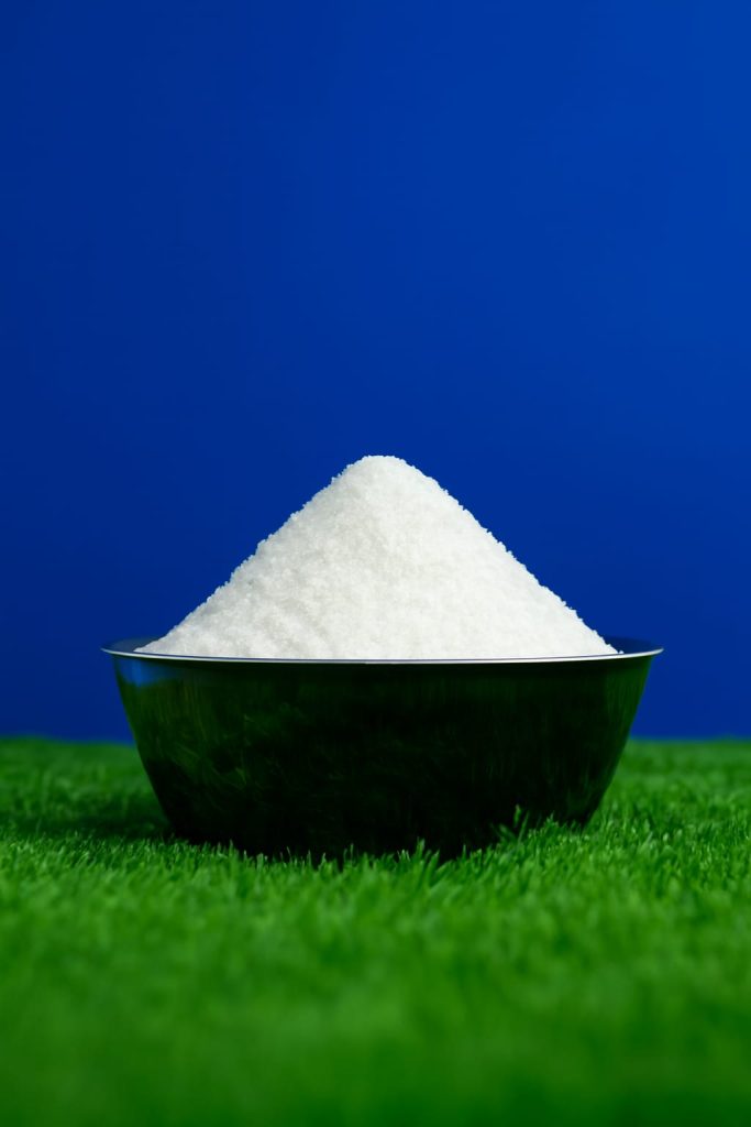 coconut milk powder